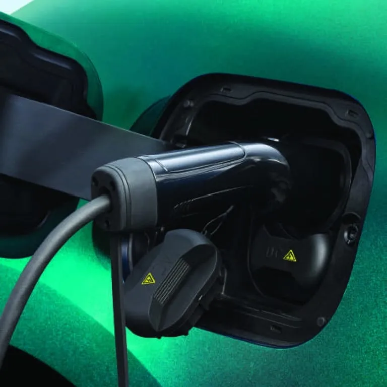 Vue arrière intérieure